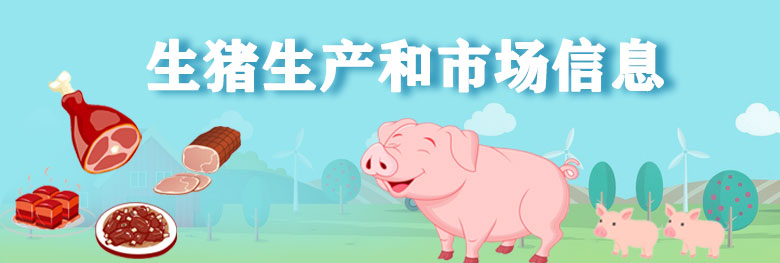 生猪生产和市场信息 生猪生产和市场信息